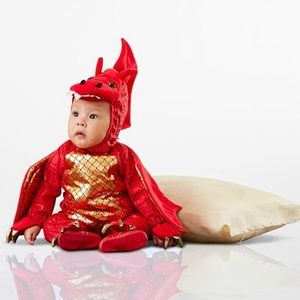 Pottery Barn Kids Dragon Halloween Costume 🐉